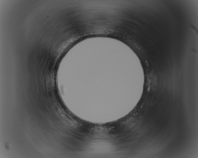 X0000103230632200809251305