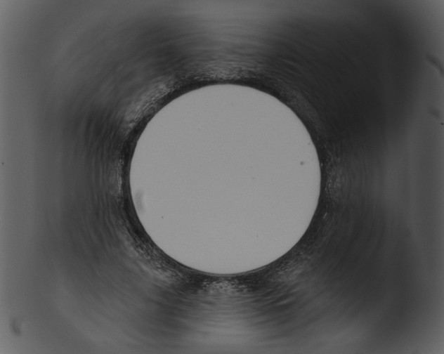 X0000103230635200809251305