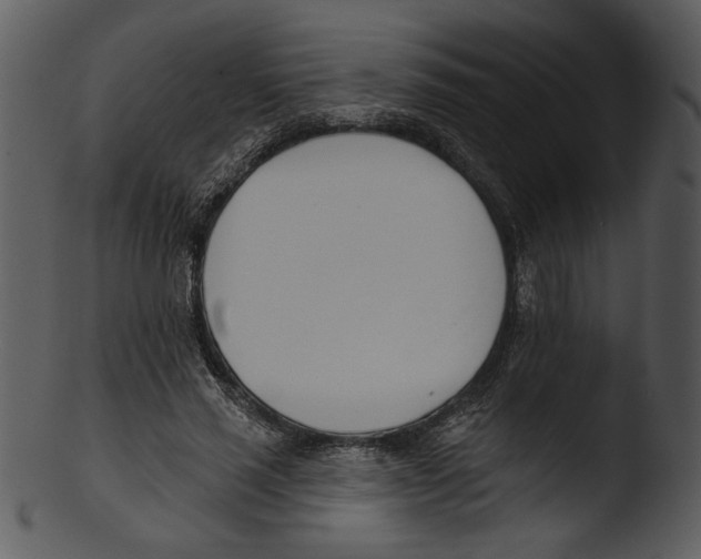 X0000103230637200809251305