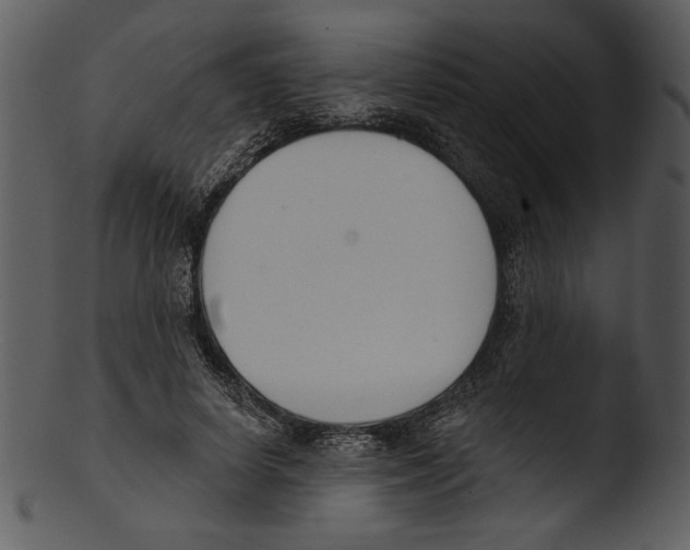 X0000103230642200809251305
