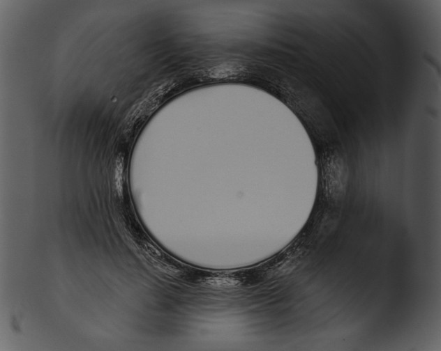 X0000103230644200809251305