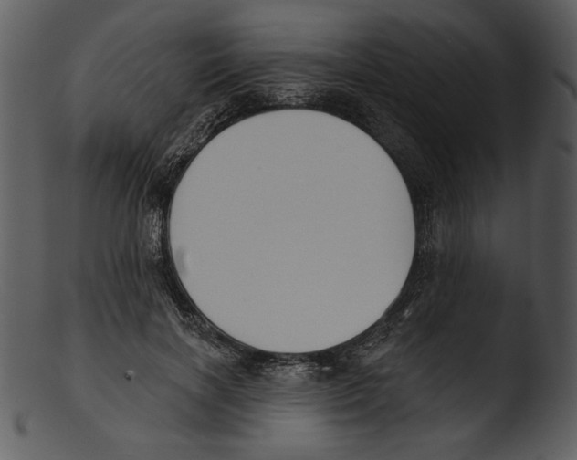 X0000103230646200809251305