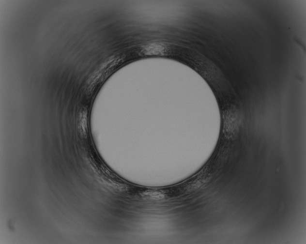 X0000103230648200809251305