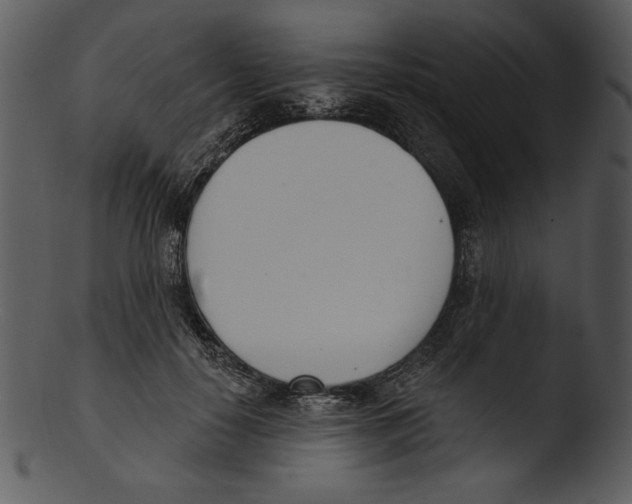 X0000103230650200809251305