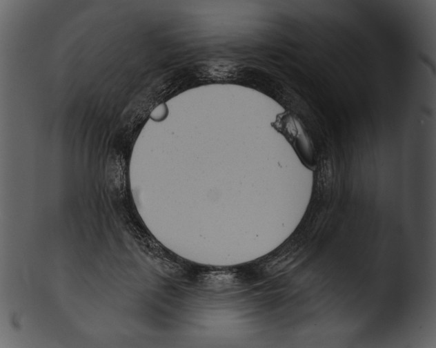 X0000103230651200809251305