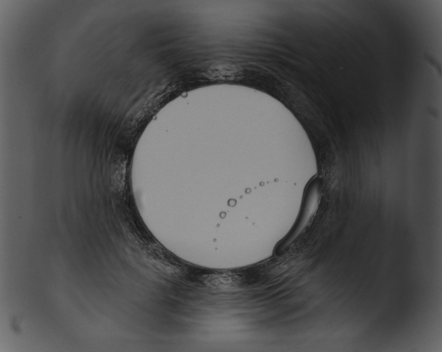X0000103230652200809251305