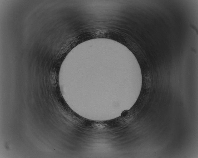 X0000103230654200809251305