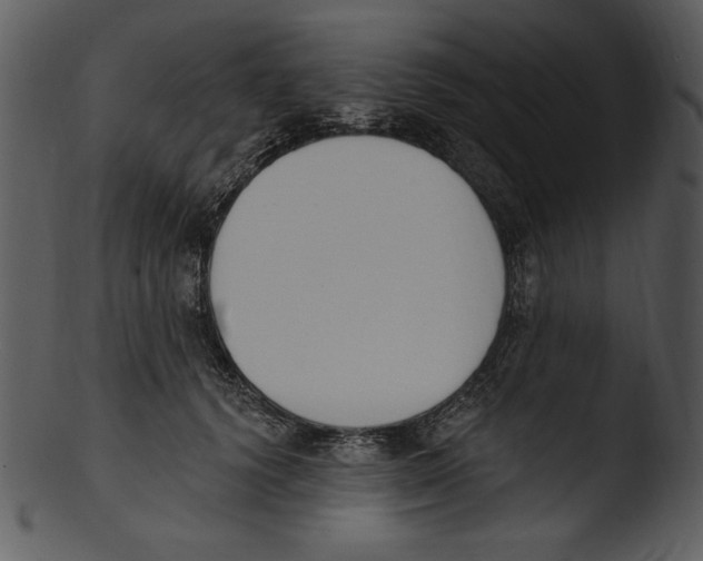 X0000103230656200809251305