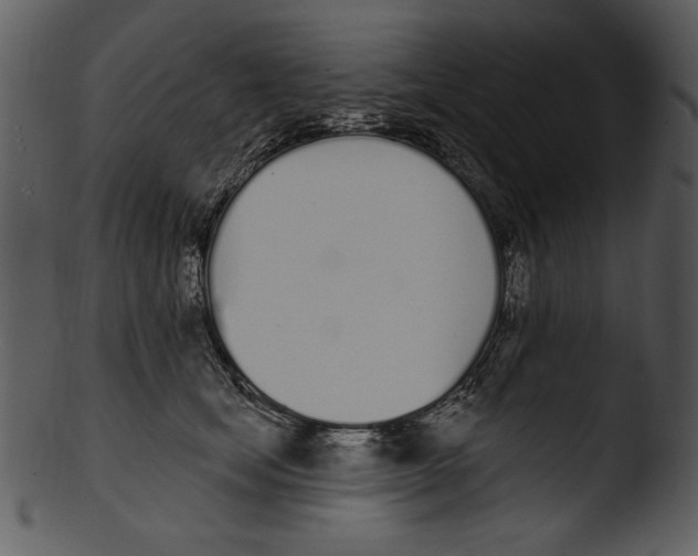 X0000103230659200809251305