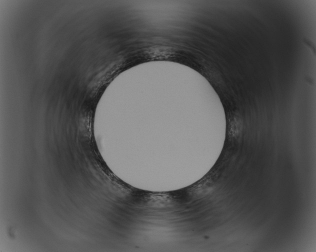 X0000103230666200809251305