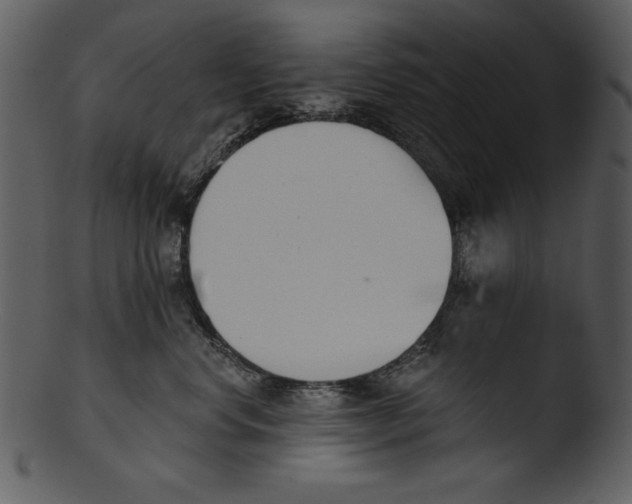 X0000103230668200809251305
