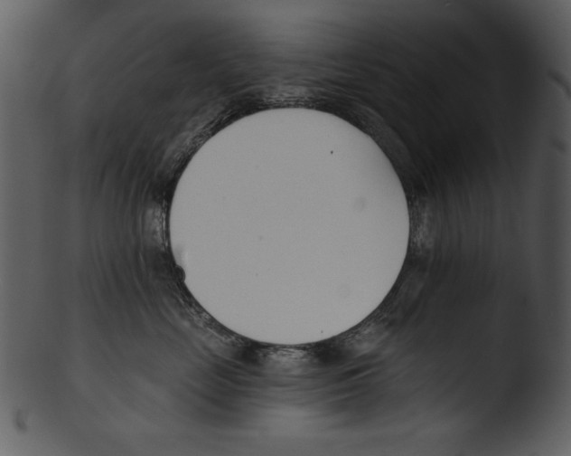 X0000103230669200809251305