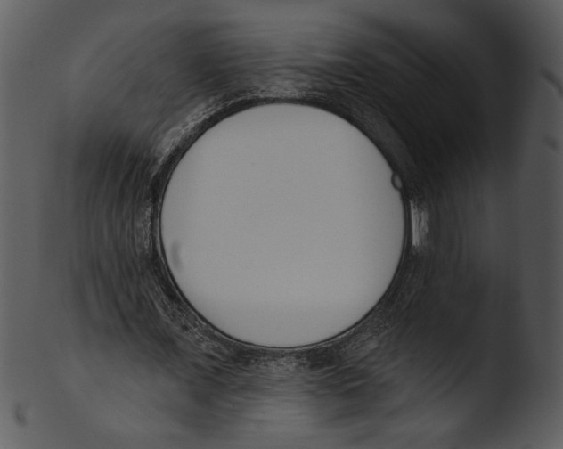 X0000103230675200809251305