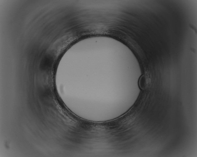 X0000103230677200809251305
