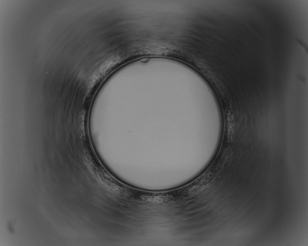 X0000103230679200809251305