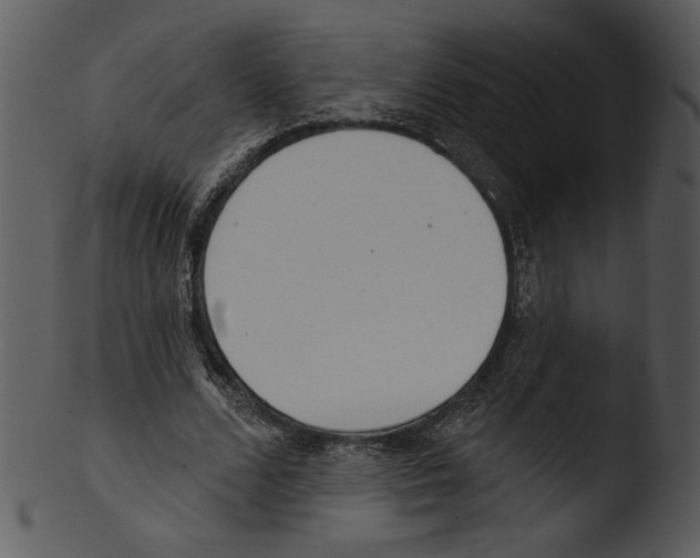 X0000103230680200809251305