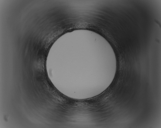 X0000103230681200809251305