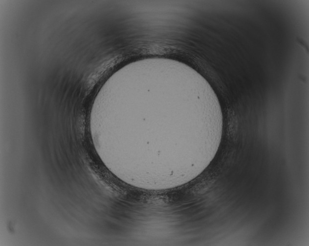 X0000103230683200809251304
