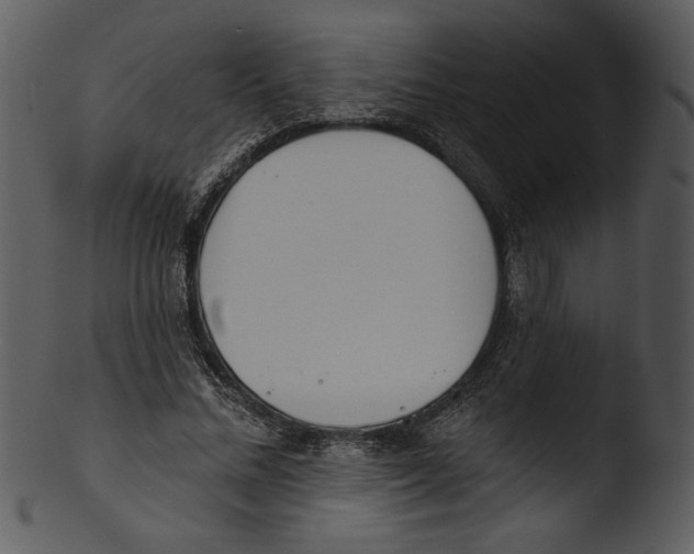X0000103230684200809251304