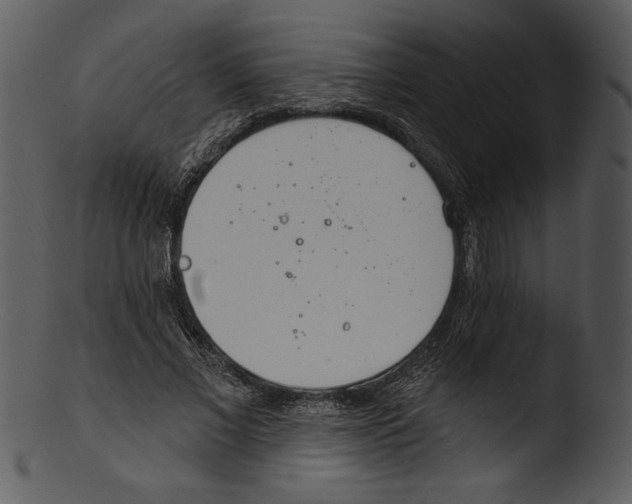 X0000103230685200809251304