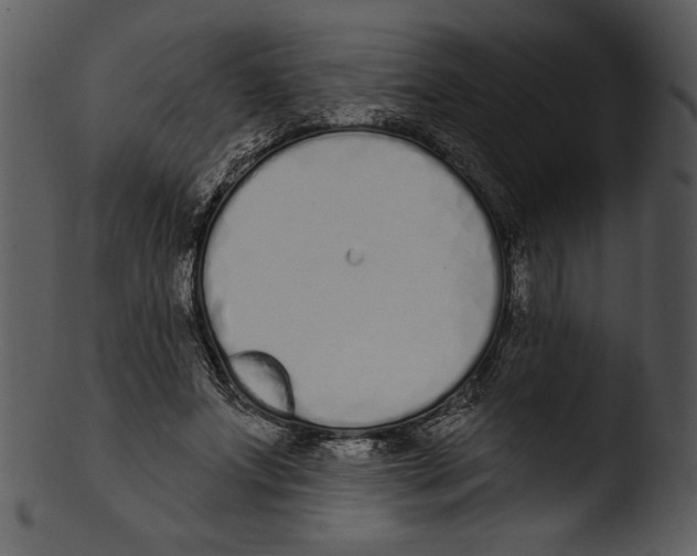 X0000103230687200809251304