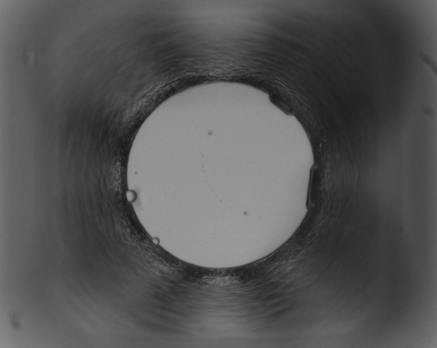 X0000103230689200809251304