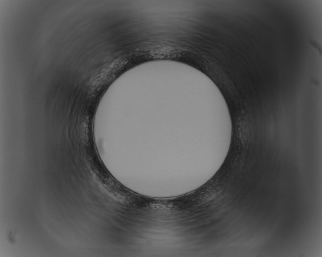X0000103230690200809251304