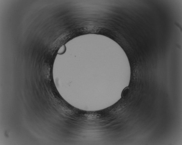 X0000103230693200809251304