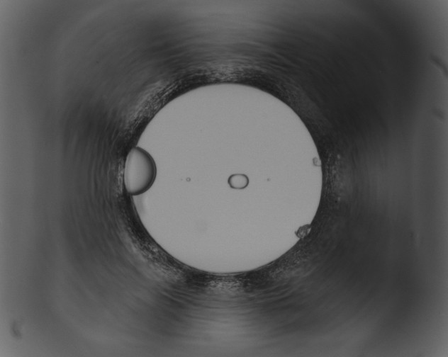 X0000103230694200809251304