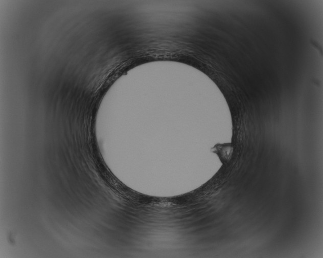 X0000103230695200809251304