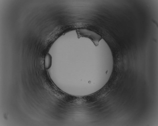 X0000103230696200809251304