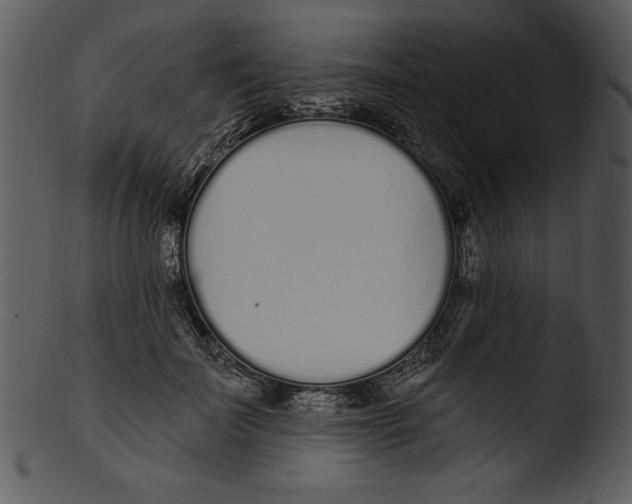 X0000103230699200809251304