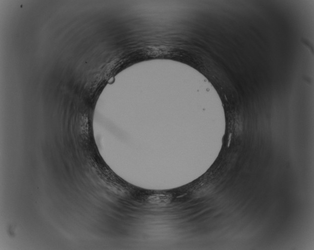 X0000103230700200809251304
