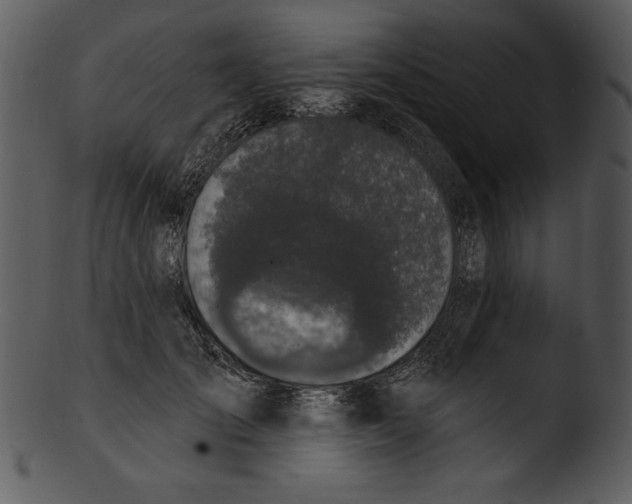 X0000103230701200809251304