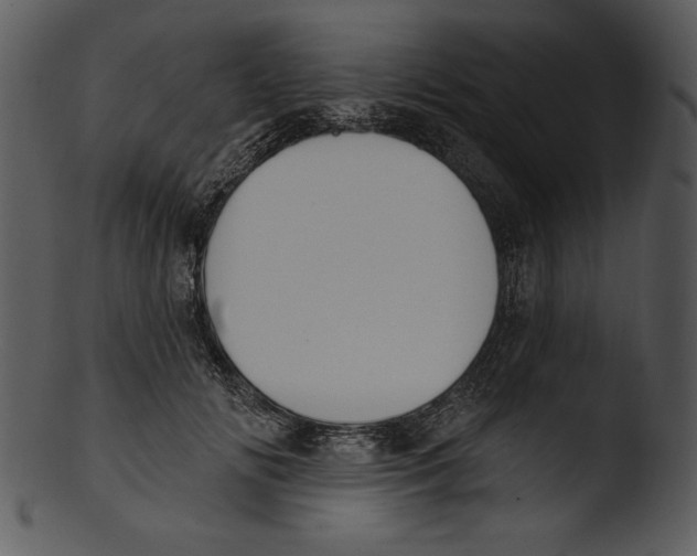 X0000103230702200809251304