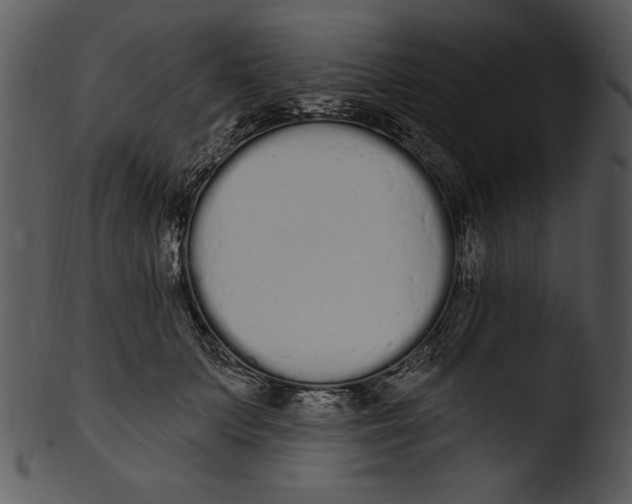 X0000103230703200809251304
