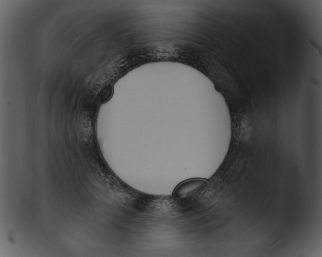 X0000103230704200809251304
