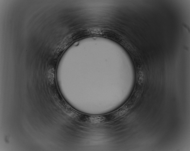 X0000103230707200809251304