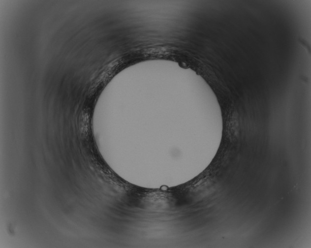 X0000103230708200809251304