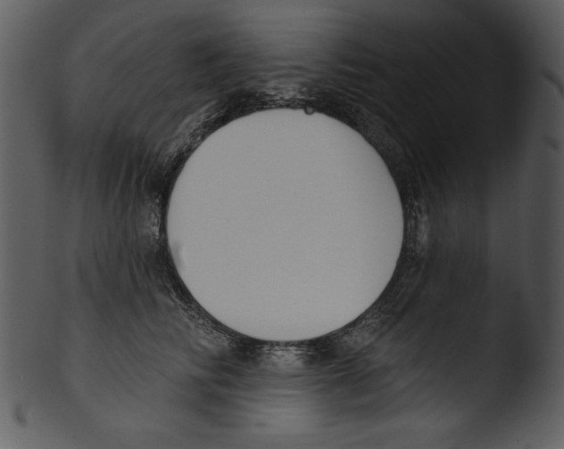 X0000103230710200809251304