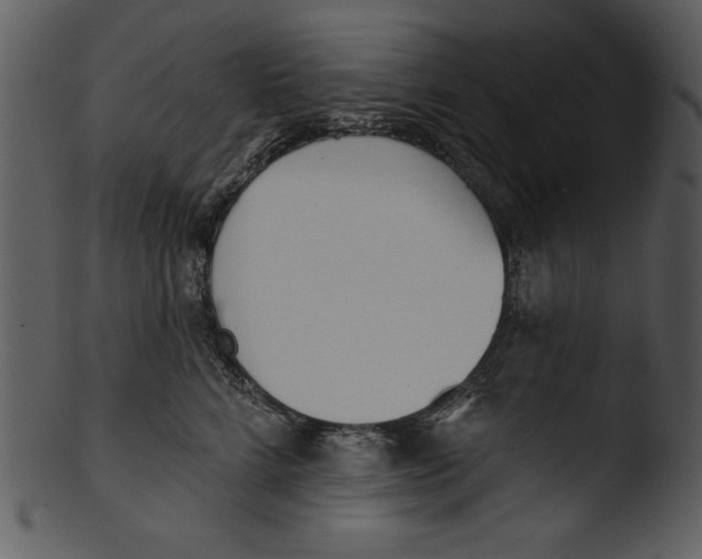 X0000103230712200809251304