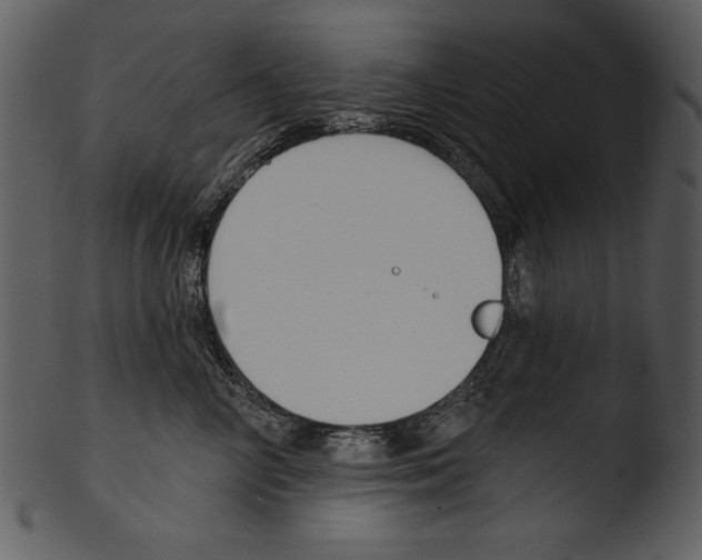 X0000103230714200809251304