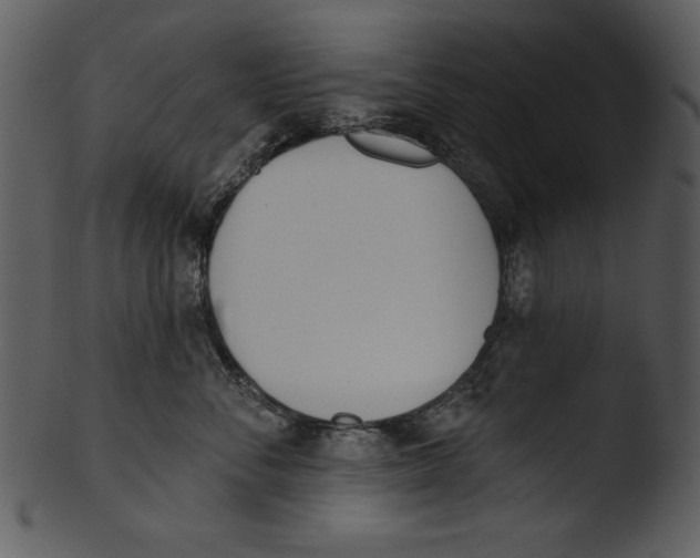 X0000103230716200809251304