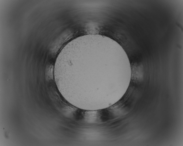 X0000103230717200809251304