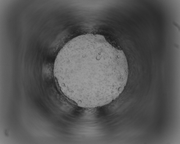 X0000103230720200809251304