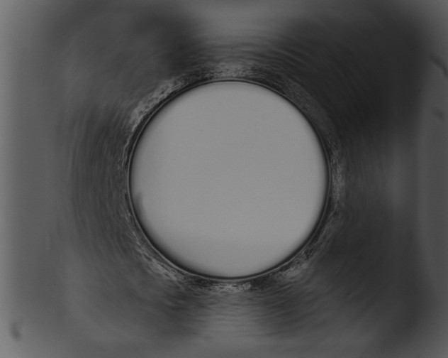 X0000103230721200809251303