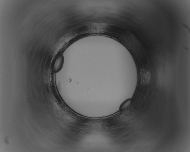 X0000103230726200809251303