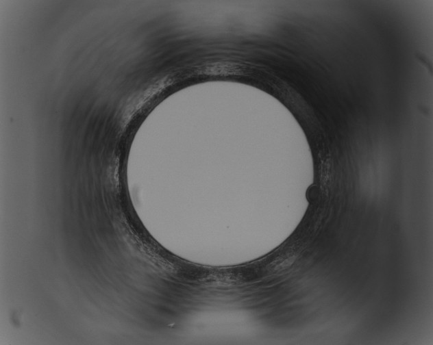X0000103230727200809251303