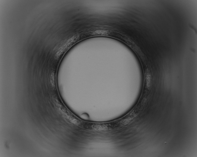 X0000103230729200809251303