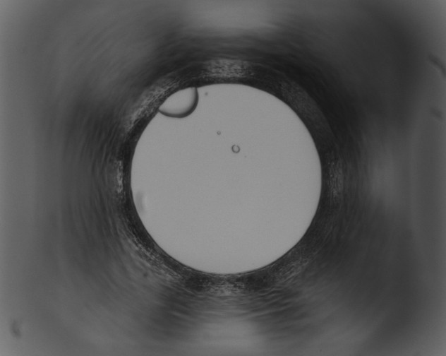 X0000103230731200809251303